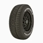 275/55R20 WINDFORCE 117T AT